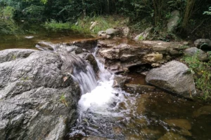 Cerro Mirador Torrente