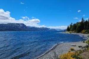 Lago Traful Orilla