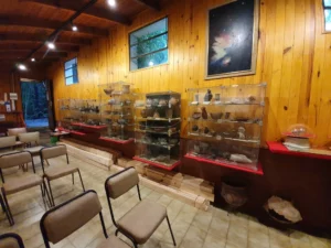 Museo Arqueologico Egon Hofmann Fachada