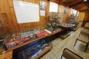 Museo Arqueologico Egon Hofmann Interior