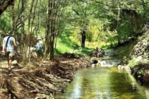 Paseo Pozo Verde y Sendero Arroyo