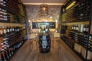 Bodega Renacer Bodega