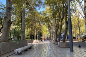 Plaza San Martín Plaza
