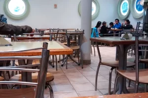 El Molino pizzería Río cuarto salón