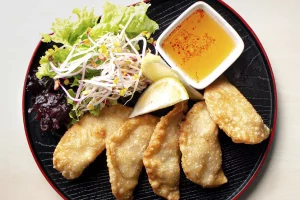 Meishi Empanadas