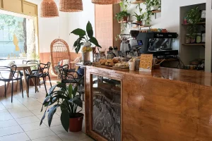 Mulata Café de Especialidad Interior