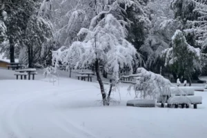 Unquehue Camping y Apartamentos Dormis Nieve