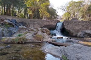 Paseo De Los Arroyos Cascada