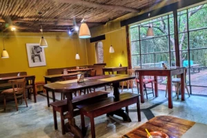 Restaurante Madre Tierra - Naturista Interior